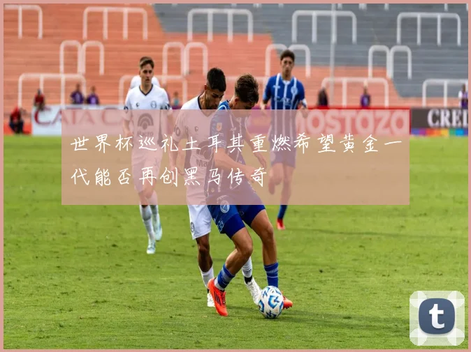 世界杯巡礼土耳其重燃希望黄金一代能否再创黑马传奇