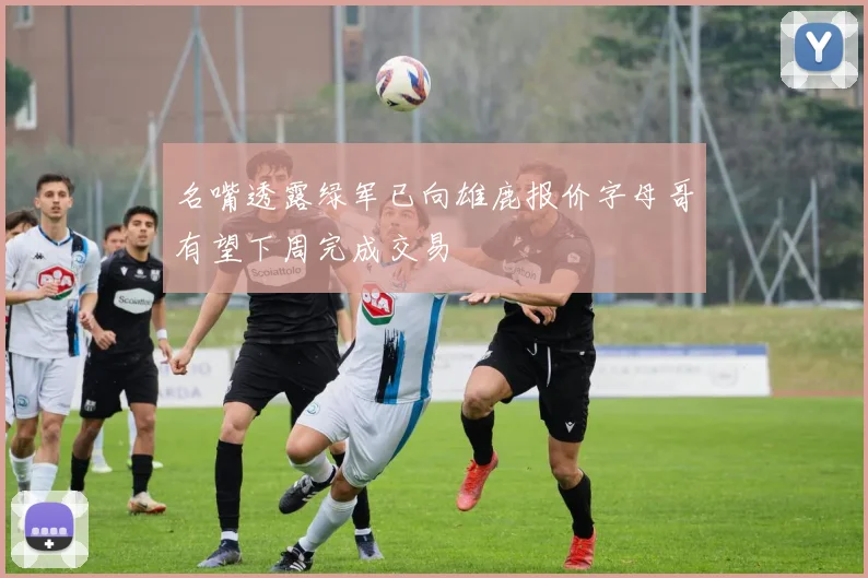 名嘴透露绿军已向雄鹿报价字母哥有望下周完成交易
