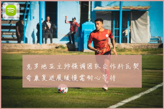 克罗地亚主帅强调团队合作科瓦契奇康复进展缓慢需耐心等待